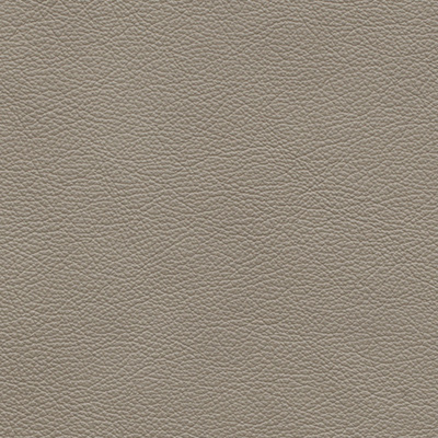 Palomasilver grey